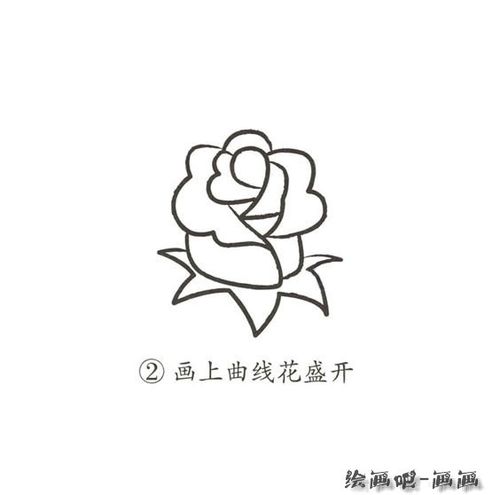 玫瑰花简笔画画法图片